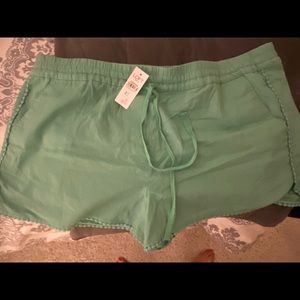 NWT Loft Outlet Shorts Size XL